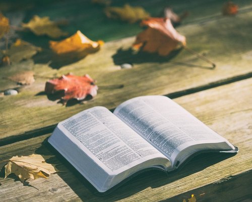 Natural sunlight falling on an open book placed on a table